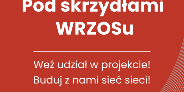 Aktualizacja i wdrożenie strategii WRZOS
