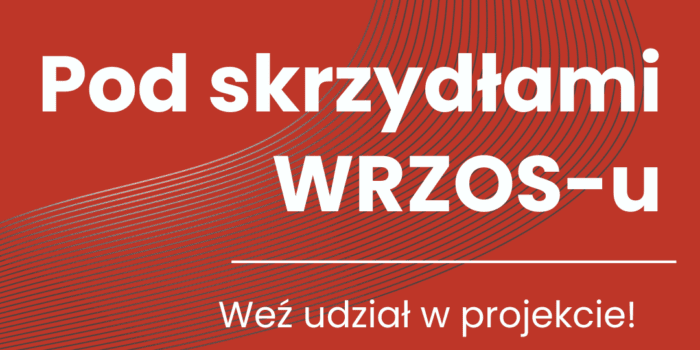Nabór organizacji pozarządowych do projektu “Aktualizacja i wdrożenie strategii WRZOS”